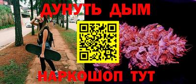 амф Донской
