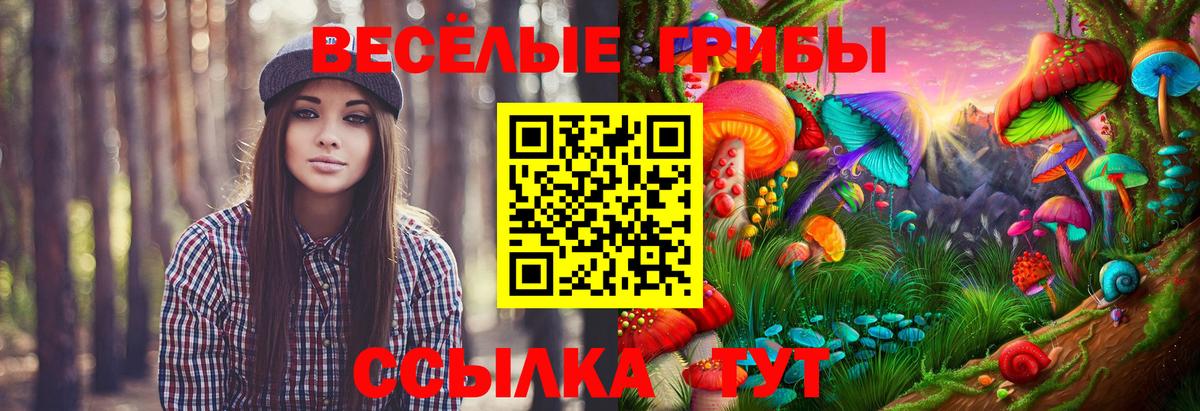 Галлюциногенные грибы ЛСД Михайловка