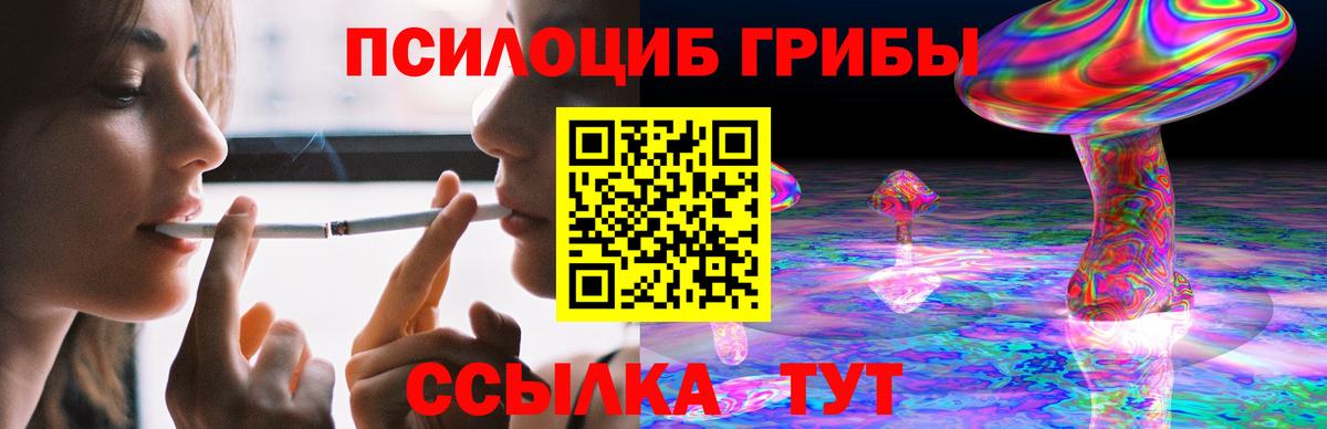 Галлюциногенные грибы Psilocybe  Вход с VPN  Псилоцибиновые грибы Psilocybine cubensis  Михайловка 
